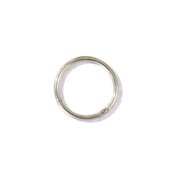 Imagen de 2 Unidades Respetuoso del Medio Ambiente 316 Acero Inoxidable Joyas para Piercing Cierre De Aro Con Click Segmentado Con Bisagra Al Por Mayor Ronda Tono de Plata 14.5mm Dia