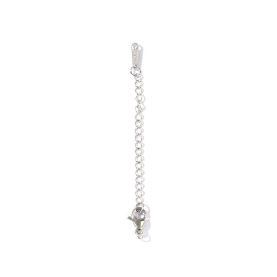 Imagen de 10 Unidades Respetuoso del Medio Ambiente 304 Acero Inoxidable Excensor de Cadena Al Por Mayor Para Pulsera Collar Joyería Tono de Plata Con Broche de Langosta 7.5cm longitud, 5cm