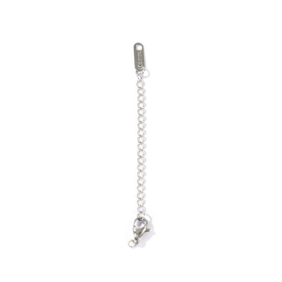 Imagen de 10 Unidades Respetuoso del Medio Ambiente 304 Acero Inoxidable Excensor de Cadena Al Por Mayor Para Pulsera Collar Joyería Tono de Plata Con Broche de Langosta 7.5cm longitud, 5cm