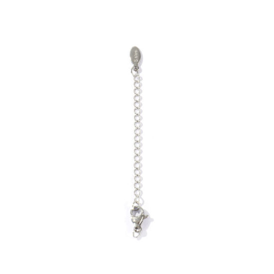 Imagen de 10 Unidades Respetuoso del Medio Ambiente 304 Acero Inoxidable Excensor de Cadena Al Por Mayor Para Pulsera Collar Joyería Tono de Plata Con Broche de Langosta 7.5cm longitud, 5cm