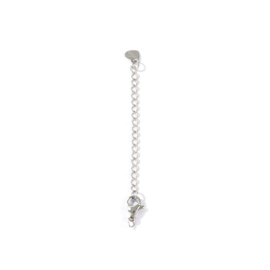 Imagen de 10 Unidades Respetuoso del Medio Ambiente 304 Acero Inoxidable Excensor de Cadena Al Por Mayor Para Pulsera Collar Joyería Tono de Plata Con Broche de Langosta 7cm longitud, 5cm