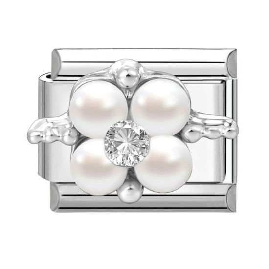 Bild von 1 Stück 304 Edelstahl & Zinklegierung Italienische Charm-Links für die DIY-modulare Armbanduhr-Schmuckherstellung Großhandel Silberfarbe Rechteck Blumen Transparent Strass 10mm x 9mm