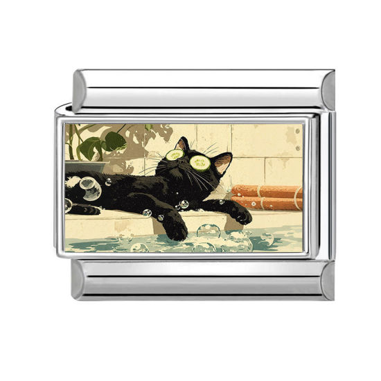 Picture of 1 Piece 304 Stainless Steel Italian Charm Links For DIY Modular Bracelet Watch Jewelry Making Wholesale Silver Tone Black Rectangle Cat 10mm x 9mm