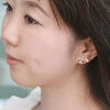 Picture of Ear Post Stud Earrings Gold Plated Black Cat Animal Fish Blue Rhinestone Enamel 1 Pair