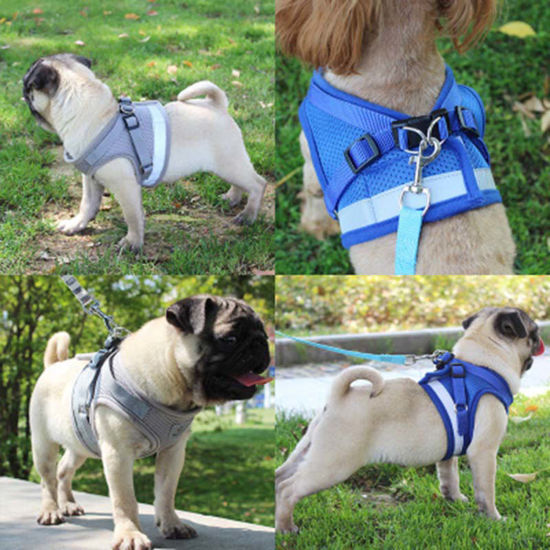 Picture of Polyester Pet Vest Chest Strap Traction Rope Leash Harness Blue Size XS, 1 Piece