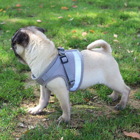 Picture of Pet Vest Chest Strap Traction Rope Leash Harness Black Reflective Size XL, 1 Set