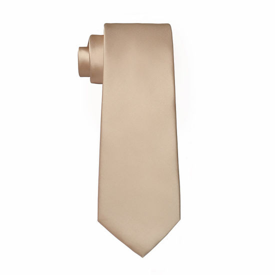 Image de Champagne - Accessoires de costume de cravate brillante de couleur unie pour hommes 147x8cm, 1 pièce