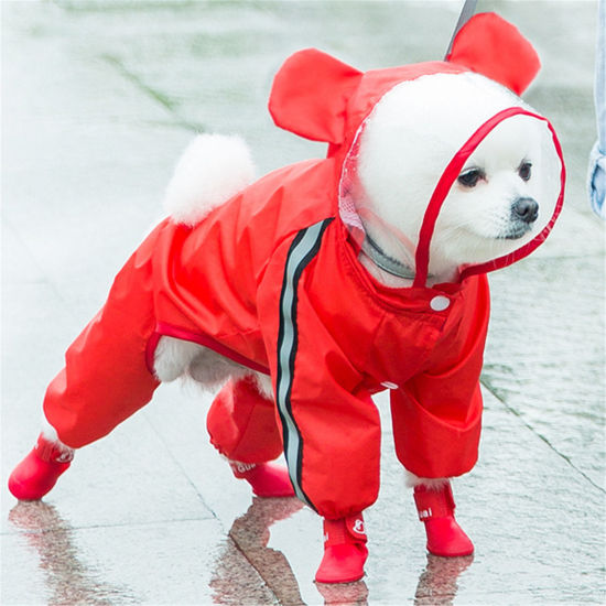 Bild von Haustierkleidung Rot Regenmantel Bär 1 Stück
