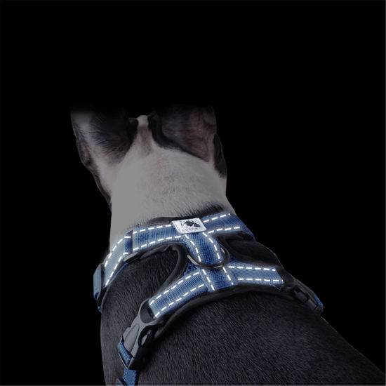 Image de Harnais pour Animal de Compagnie en Tissu en Maille Noir Taille S, 1 Pièce