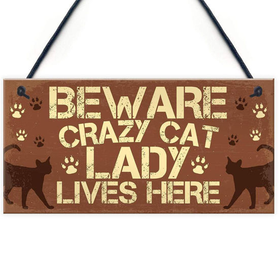 Bild von Holz Weihnachten Hänge Dekoration Braun Rechteck Katze Message " Beware Crazy Cat Lady Lives Here " 20cm x 10cm, 1 Stück