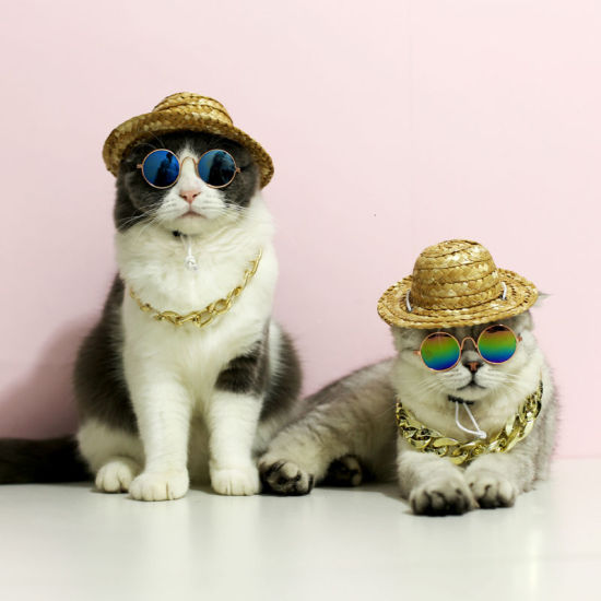 Bild von Blau - schöne Katze Hund Brille Eye-Wear Sonnenbrille Haustier Produkte für kleine Hund Katze Fotos Prop, 1 Stück 