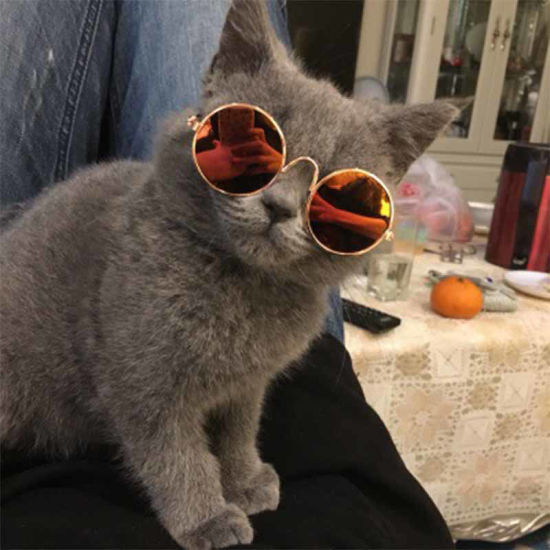 Picture of Khaki - Lovely Cat Dog Glasses Eye-Wear Sunglasses Pet Products For Little Dog Cat Photos Prop, 1 Piece
