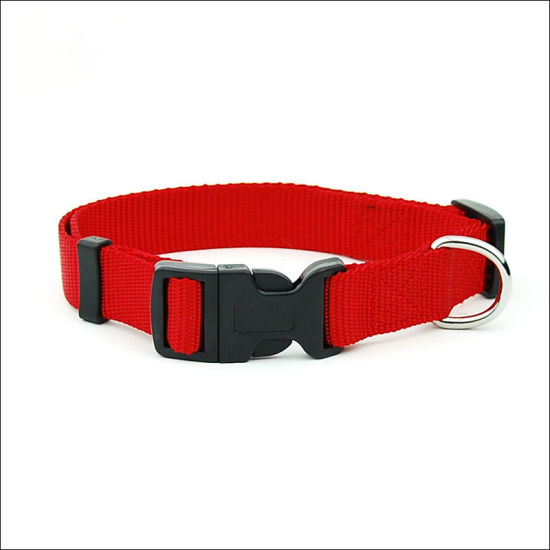 Bild von Rot - Nylon Hundehalsband für mittlere große Hunde weich atmungsaktiv verstellbar 34cm-49cm, 1 Stück