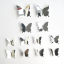Immagine di Argento - Decorazione da Parete Adesiva con Farfalla 3D a Specchio in PVC 11x9.5cm - 6.5x5.5cm, 1 Set (12 Pezzi/Set)