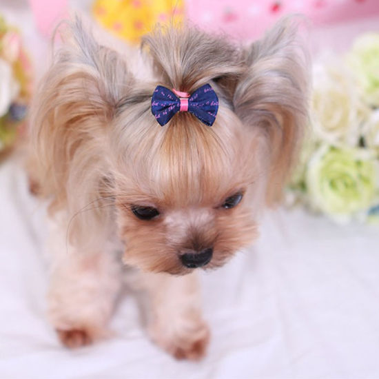 Picture of Royal Blue - Cute Bow Hairpin For Cats Dogs Photography Props Decoration 3.5cm long, 2 PCs