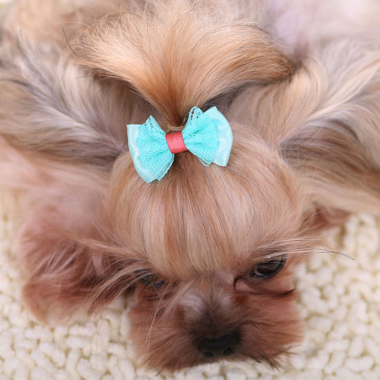 Picture of Blue - Cute Bow Hairpin For Cats Dogs Photography Props Decoration 4.5cm long, 2 PCs