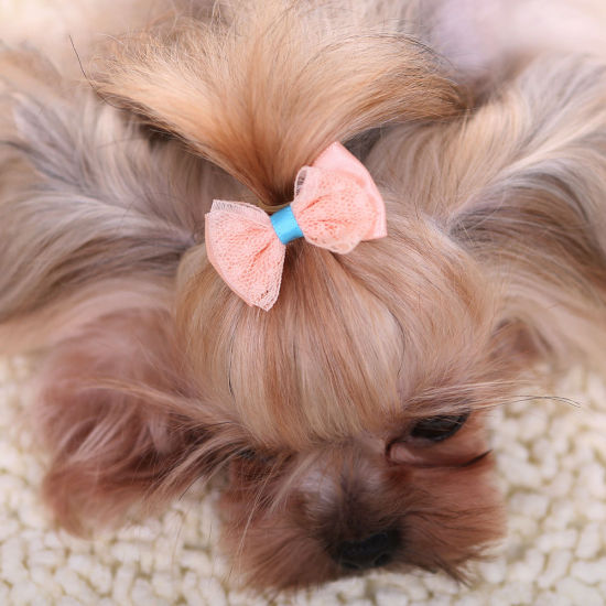 Picture of Peachy Beige - Cute Bow Hairpin For Cats Dogs Photography Props Decoration 4.5cm long, 2 PCs