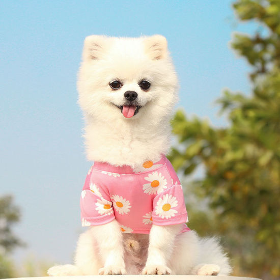 Picture of Pink - M Summer Daisy T-shirt Dog Pet Clothes, 1 Piece