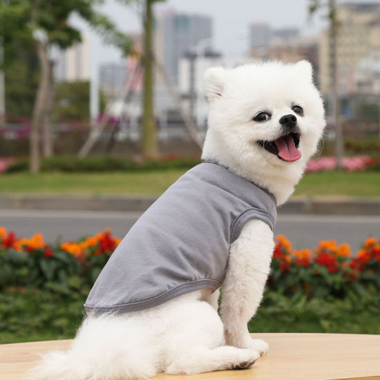 Изображение Gray - 4XL Summer Cotton Vest Pet Clothes For Cat Dog Solid Color, 1 Piece