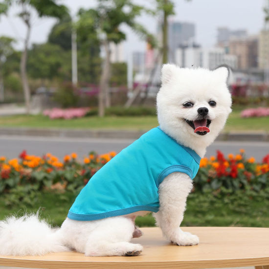 Изображение Lake Blue - 2XL Summer Cotton Vest Pet Clothes For Cat Dog Solid Color, 1 Piece