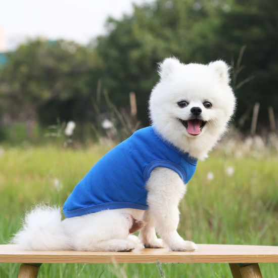 Изображение Dark Blue - 5XL Summer Cotton Vest Pet Clothes For Cat Dog Solid Color, 1 Piece