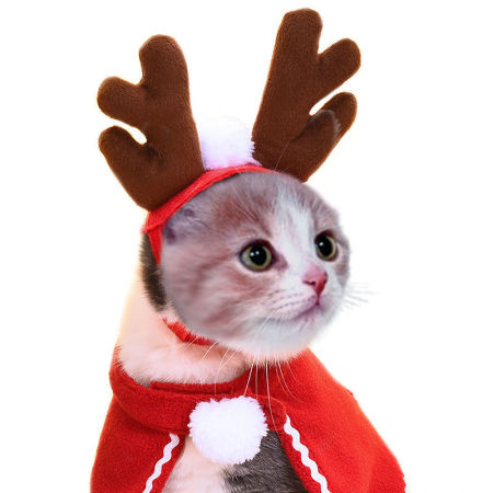 Picture of Christmas Pet Cat Dog Clothes New Year Dress Up Cosplay Costume