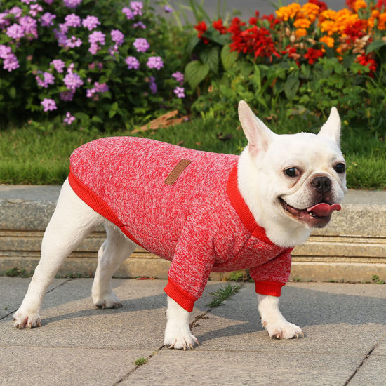 Picture of Polyester Pet Clothes Red Size S, 1 Piece