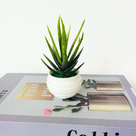 Bild von Grün - Kunststoff Künstlich Aloe Topfpflanzen Haus Dekoration 14x8cm, 1 Stück