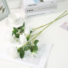 Изображение 1 Bunch Faux Silk Artificial Flower Persianbuttercup Flower White 65cm