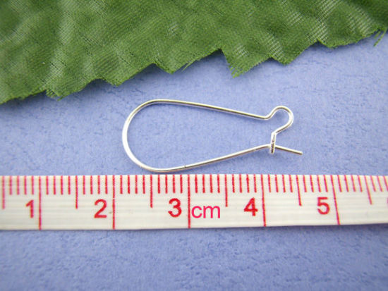 Picture of Alloy Kidney Ear Wire Hooks Earring Findings Silver Plated 11mm x 24mm, Post/ Wire Size: (21 gauge), 250 PCs