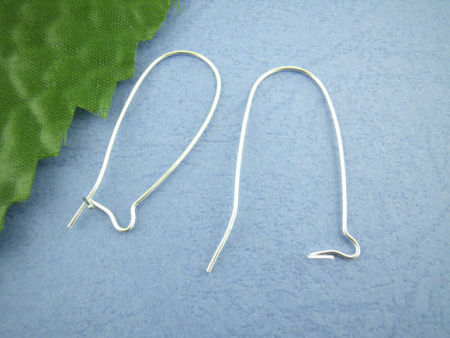 Picture of Alloy Kidney Ear Wire Hooks Earring Findings 