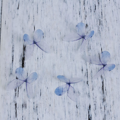 Bild von Organza DIY & Handwerk Blau Violett Schmetterling 30mm x 22mm, 5 Stück