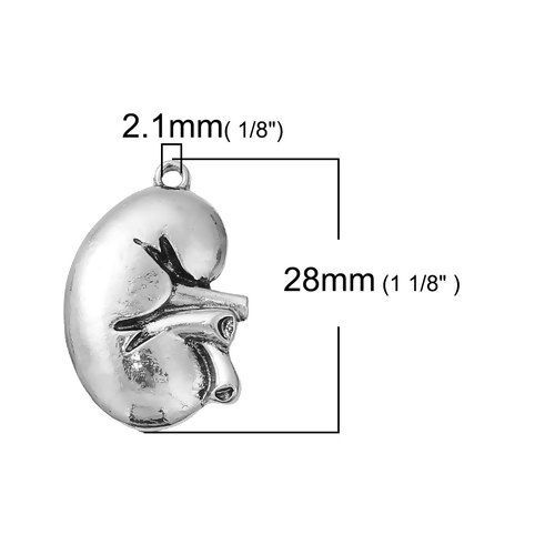 Picture of Zinc Based Alloy Halloween 3D Charms Anatomical Human Kidney Antique Silver Color 28mm(1 1/8") x 19mm( 6/8"), 5 PCs