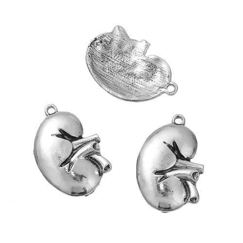 Picture of Zinc Based Alloy Halloween 3D Charms Anatomical Human Kidney Antique Silver Color 28mm(1 1/8") x 19mm( 6/8"), 5 PCs