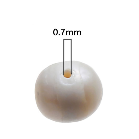 Изображение Бусины Пресноводный Культивированный Жемчуг Круглые, Белый Около 8мм - 7мм Отверстие：Около 0.7мм 10 ШТ