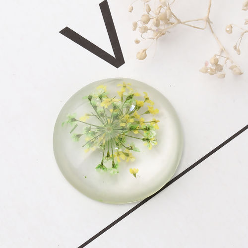 Picture of Resin Dome Seals Cabochon Round Green & Yellow Dried Flower Pattern Transparent 25mm(1") Dia, 10 PCs