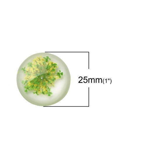 Picture of Resin Dome Seals Cabochon Round Green & Yellow Dried Flower Pattern Transparent 25mm(1") Dia, 10 PCs