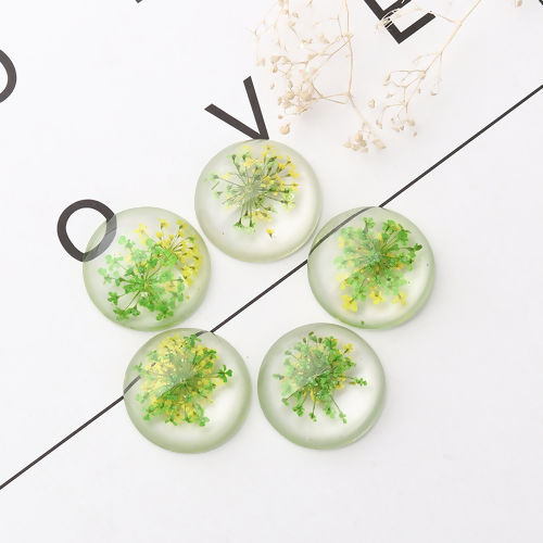 Picture of Resin Dome Seals Cabochon Round Green & Yellow Dried Flower Pattern Transparent 25mm(1") Dia, 10 PCs