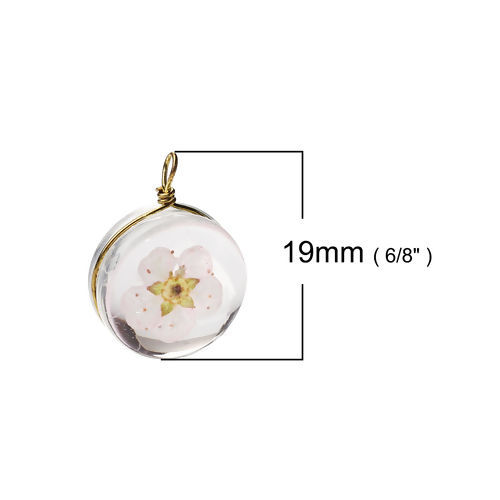 Picture of Brass & Glass Charms Round Dried Flower Pink Transparent 19mm x 14mm, 2 PCs