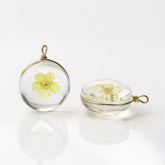 Picture of Brass & Glass Charms Round Dried Flower Pink Transparent 19mm x 14mm, 2 PCs
