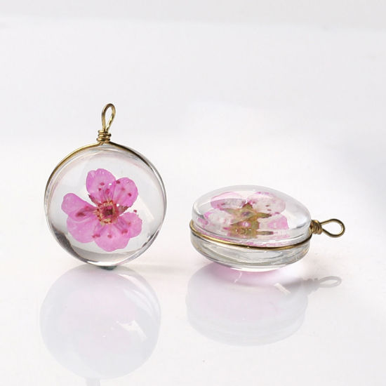 Picture of Brass & Glass Charms Round Dried Flower Pink Transparent 19mm x 14mm, 2 PCs