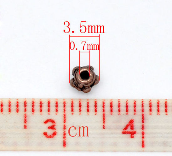 Immagine di Lega di Zinco Perle di Semi Lanterna Ossido di Rame Modello Disegno Circa 3.5mm x 3.5mm, Foro:Circa 0.7mm, 300 Pz