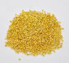 Picture of Alloy Crimp Beads Round Gold Plated Hole: 1mm, 2mm Dia., 250 PCs