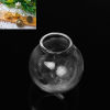 Picture of 1 Piece Glass Miniature Globe Bubble Bottle Vial For Jewelry Craft DIY Making Round Transparent Clear 27mm x 25mm