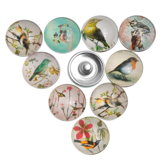 Picture of 18mm Glass Snap Button Fit Snap Button Bracelets Round Silver Tone At Random Color Mixed Bird , Knob Size: 5.5mm, 12 PCs