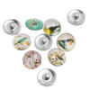 Picture of 18mm Glass Snap Button Fit Snap Button Bracelets Round Silver Tone At Random Color Mixed Bird , Knob Size: 5.5mm, 12 PCs