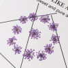 Picture of Real Dried Flower Resin Jewelry DIY Making Craft