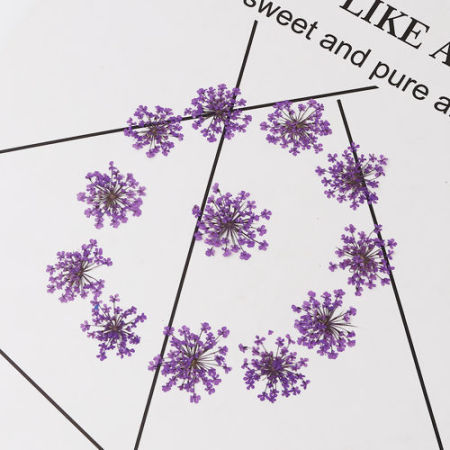 Real Dried Flower Resin Jewelry DIY Making Craft