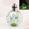 Picture of Glass & Dried Flower Pendants Round Chrysanthemum Flower Light Green Transparent LED Light Up 43mm(1 6/8") x 30mm(1 1/8"), 2 PCs
