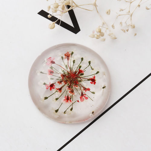 Picture of Resin Dome Seals Cabochon Round Dried Flower Pattern